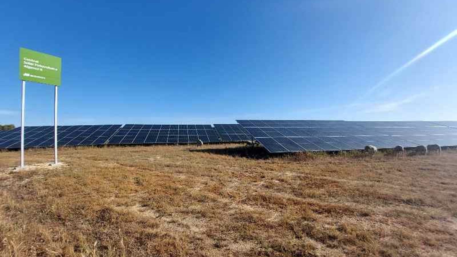 Iberdrola inks solar PPA with Portugal’s Gres Panaria