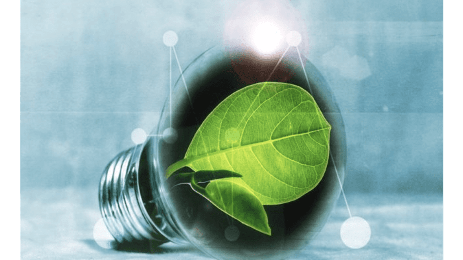 IRENA and GWEC unite to accelerate green transformation