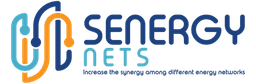 SENERGY NETS