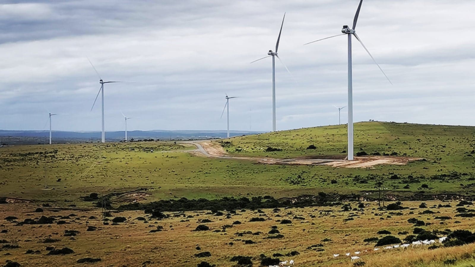 Renewables connection times higher than desired in Europe – E.DSO