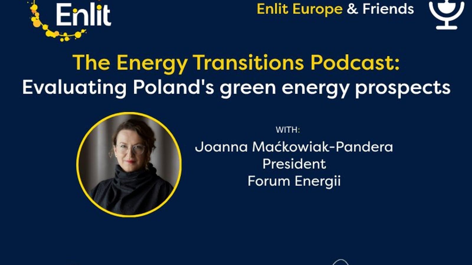 Energy Transitions podcast: Joanna Pandera highlights Poland's progress towards decarbonisation