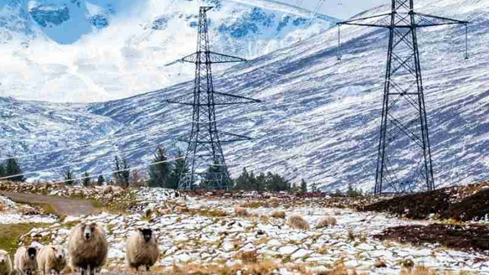 Ofgem approves ‘largest-ever’ transmission investment for Eastern Green Link 2