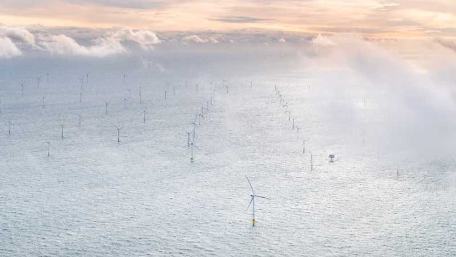 Vestas secures 795MW order for OranjeWind offshore wind farm