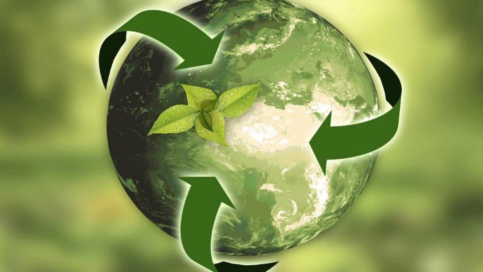 IRENA calls for greater circularity in renewable energy sector