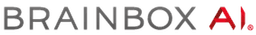 BrainBox AI