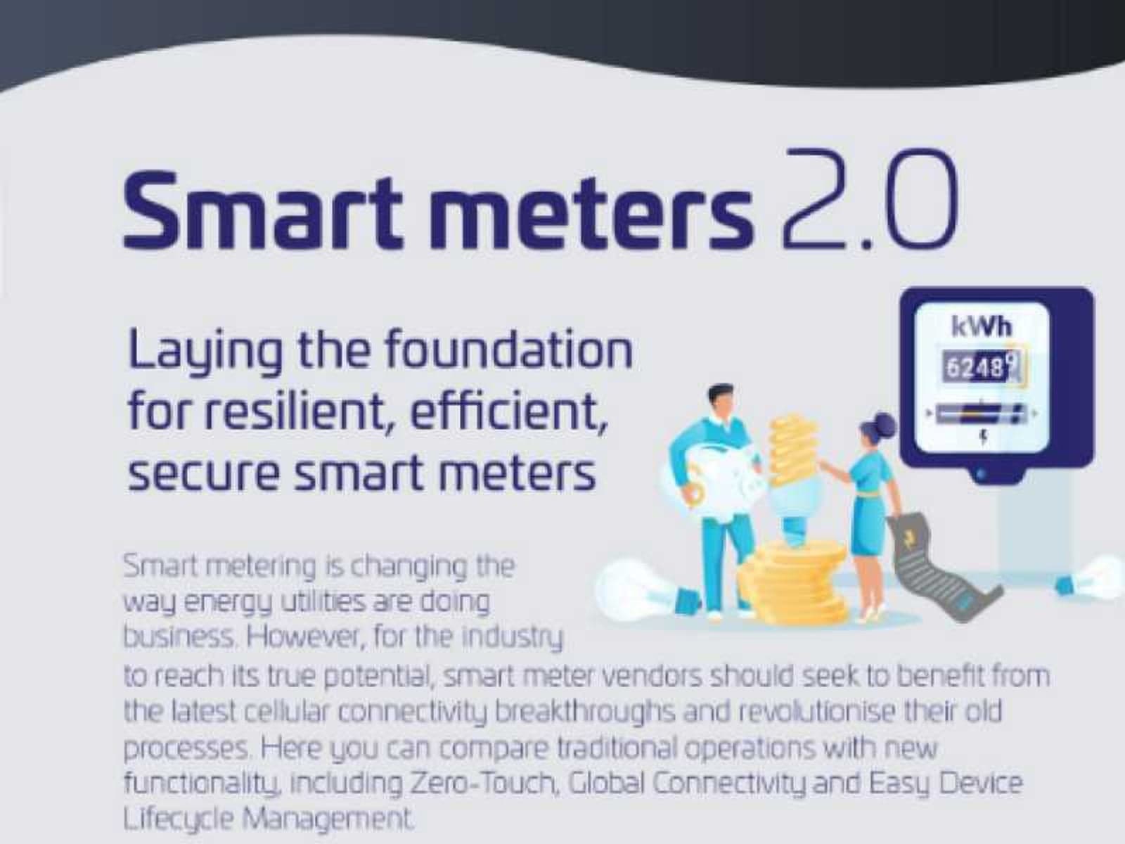 Smart meters 2.0. Credit: Thales