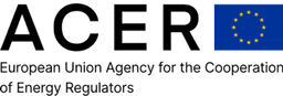 European Union Agency for the Cooperation of Energy Regulators
