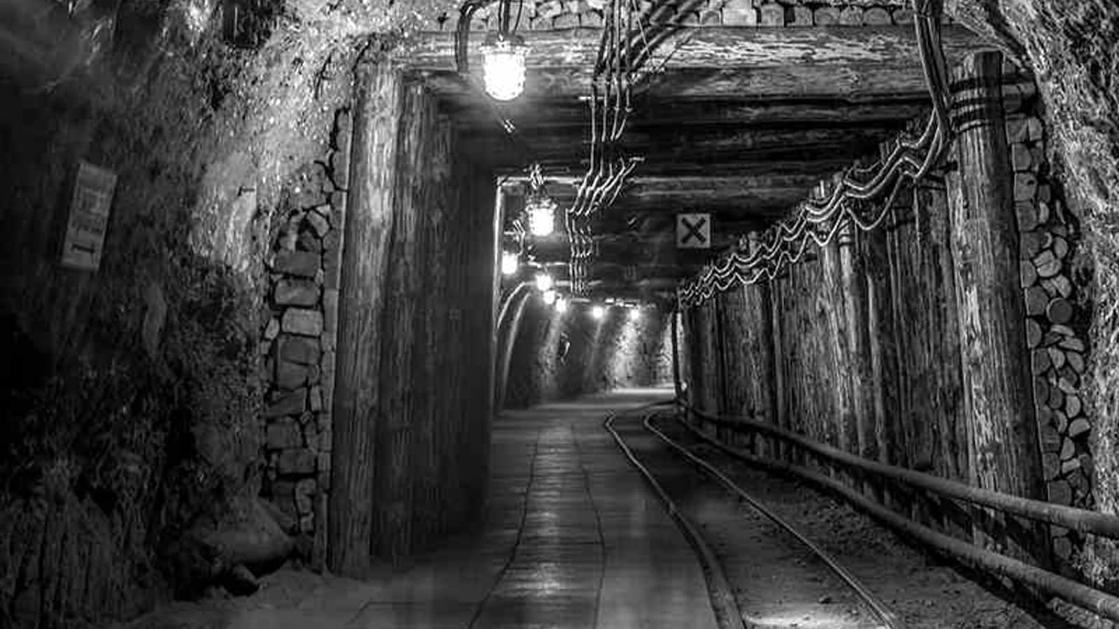 A green path for Europe’s largest coal-fired power plant