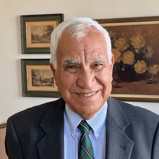 Hemmat Safwat