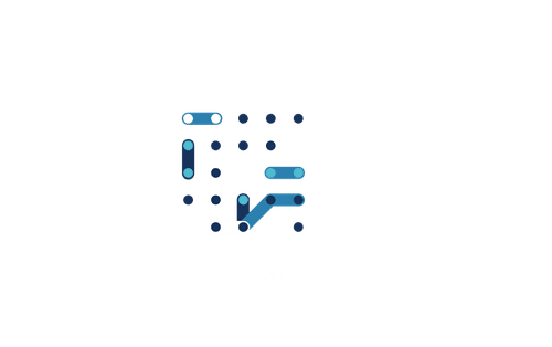 Bridge Initiative