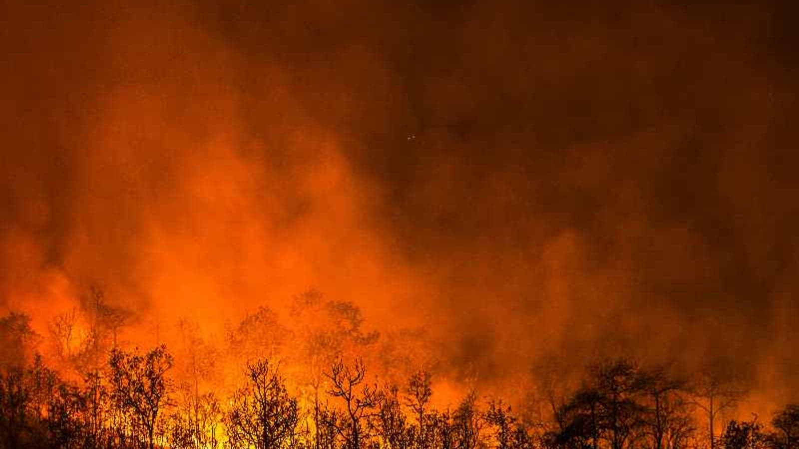Dedicated wildfire supercomputers to power AI forecasting