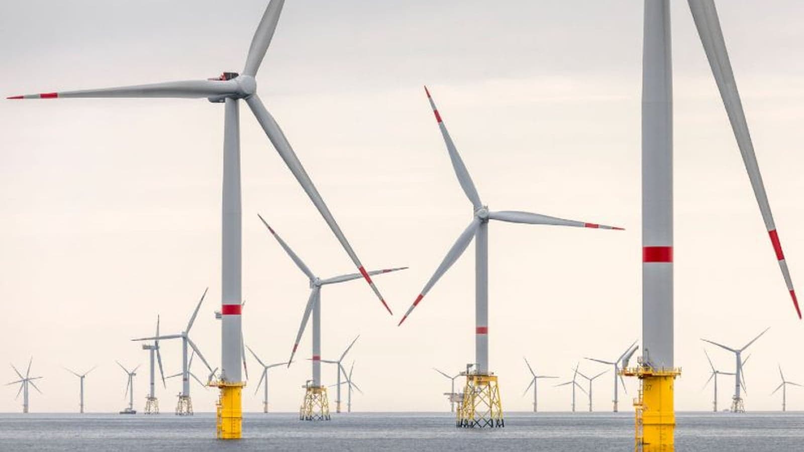 RWE signs seven PPAs showing high industrial demand for green power