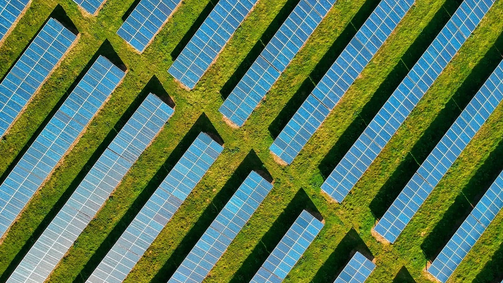 WEF says energy transition has lost pace and calls for system overhaul