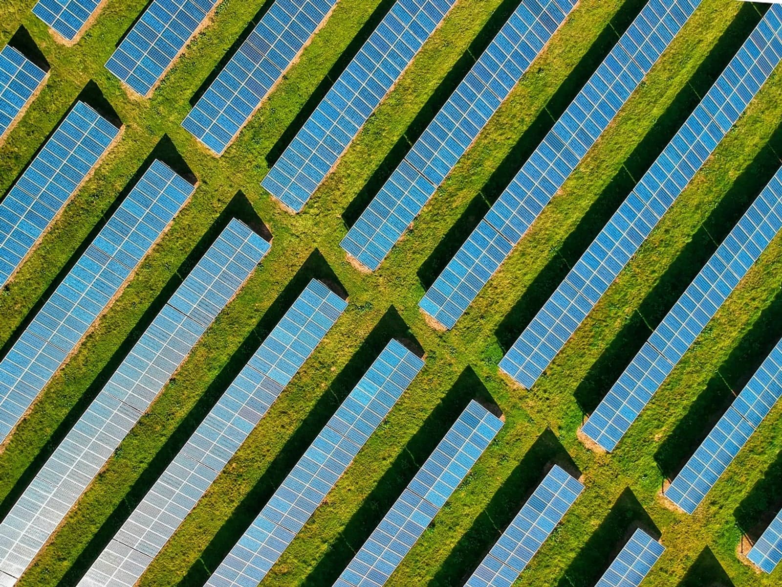 Solar farm. World Economic Forum