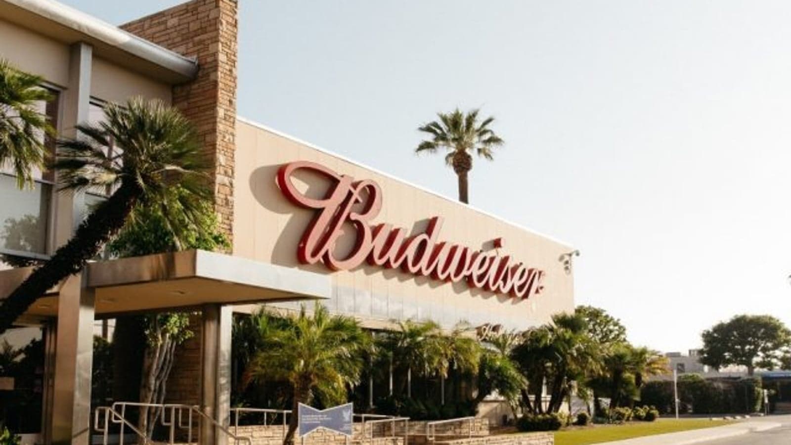 Anheuser-Busch plans largest brewery solar project in US