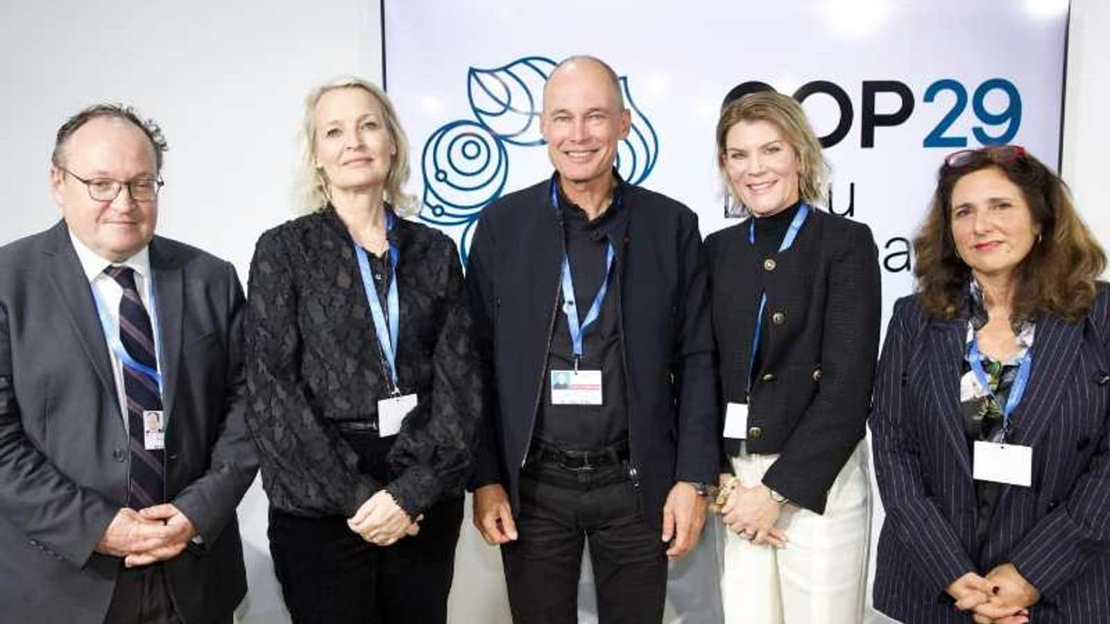 COP29: Energy efficiency as a service model launched