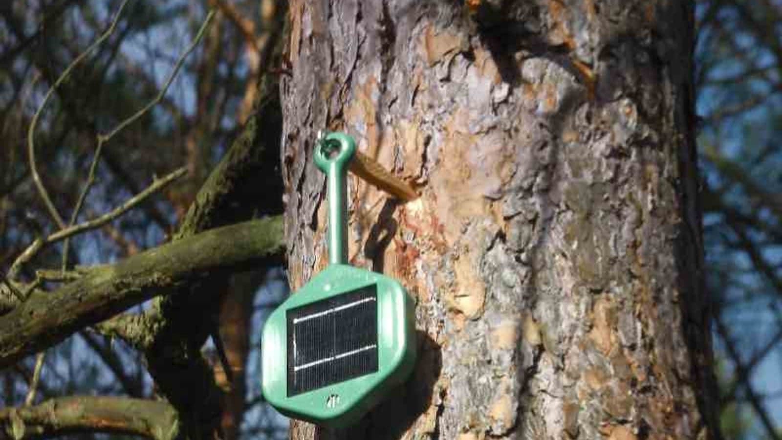 Dryad and Vodafone partner on ‘ultra-early’ detection tech to fight Spanish wildfires