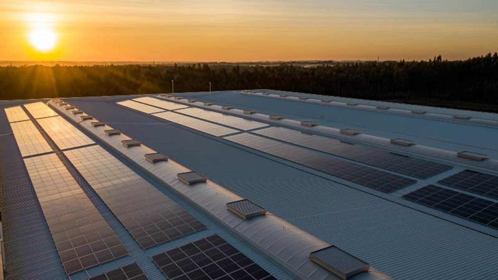 How solar surge saved Europe from the energy crisis