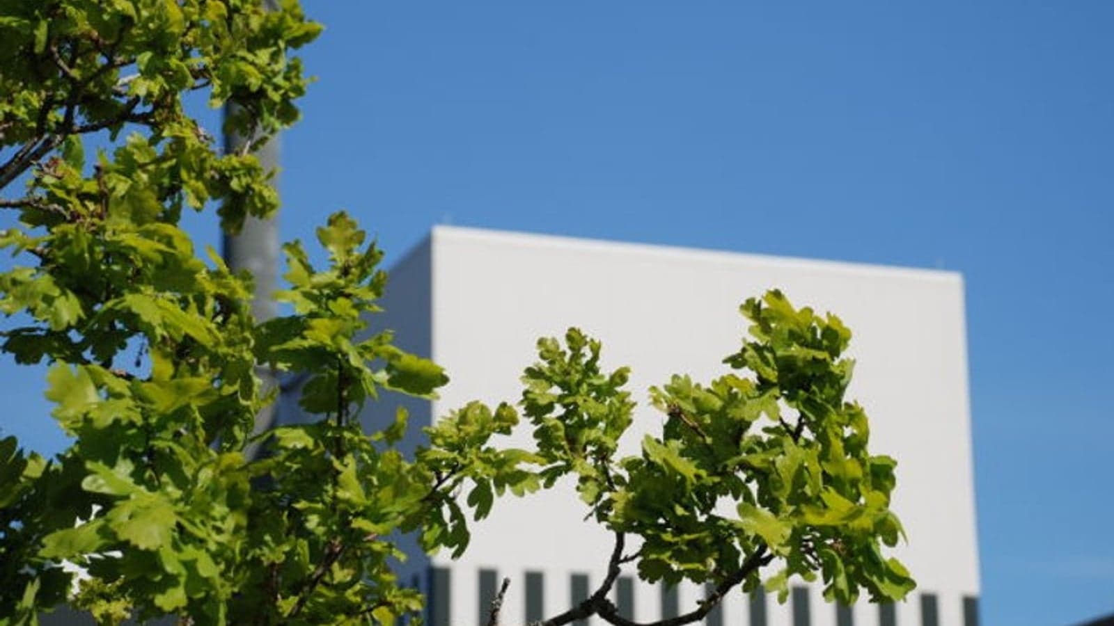 Pink hydrogen – OKG to supply out of Sweden