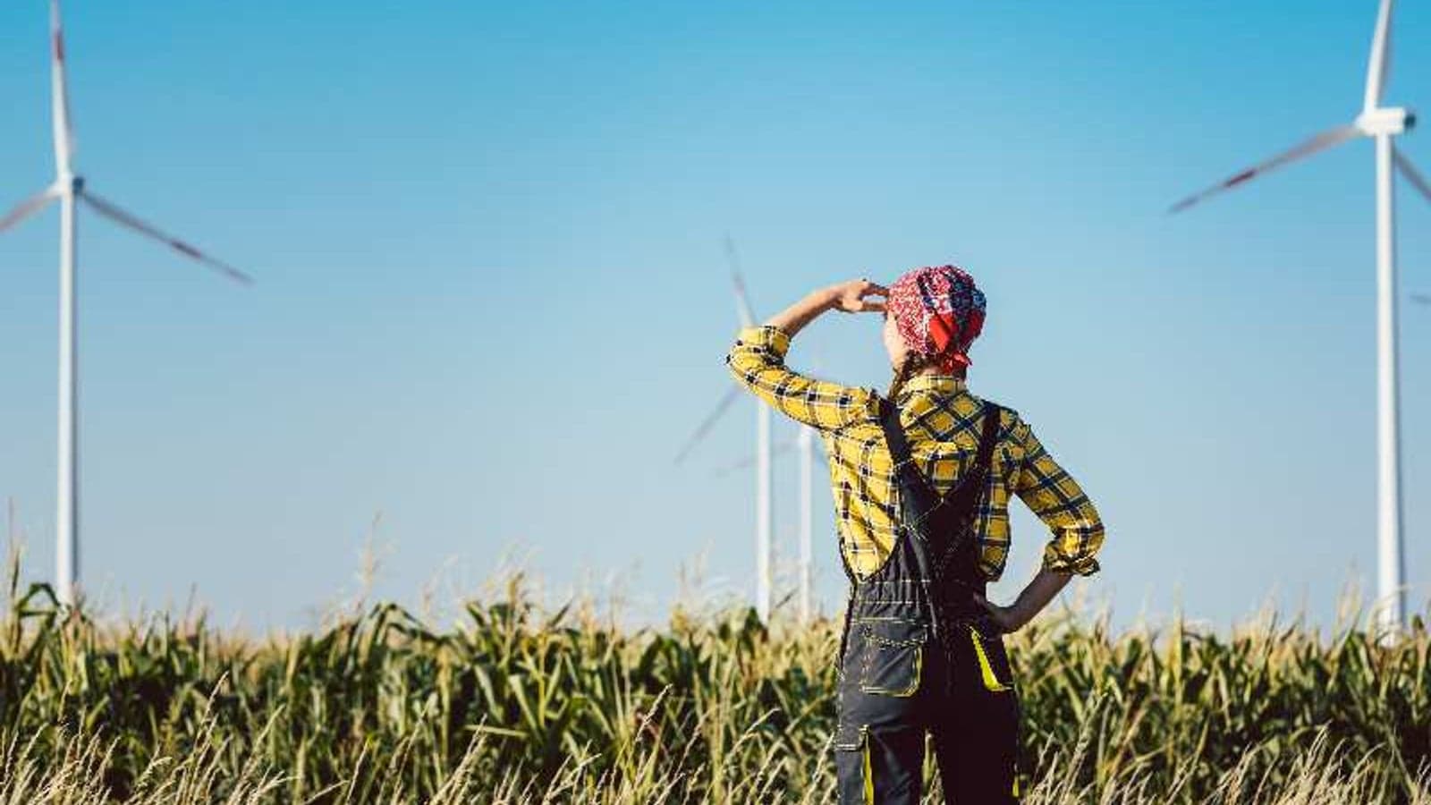 The importance of a just energy transition explained