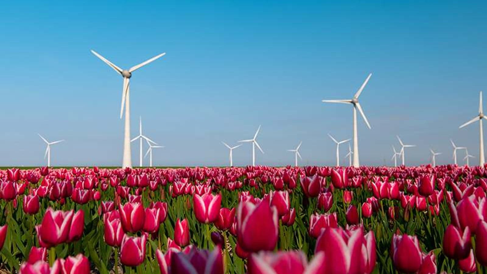Call for European energy agency and system operator