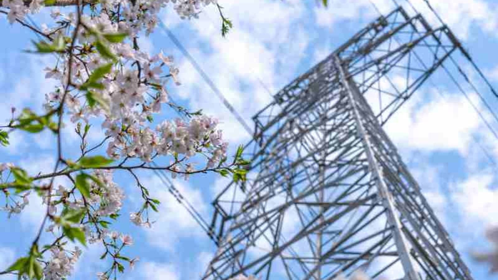 Japanese grid operators contract load dispatch standardisation