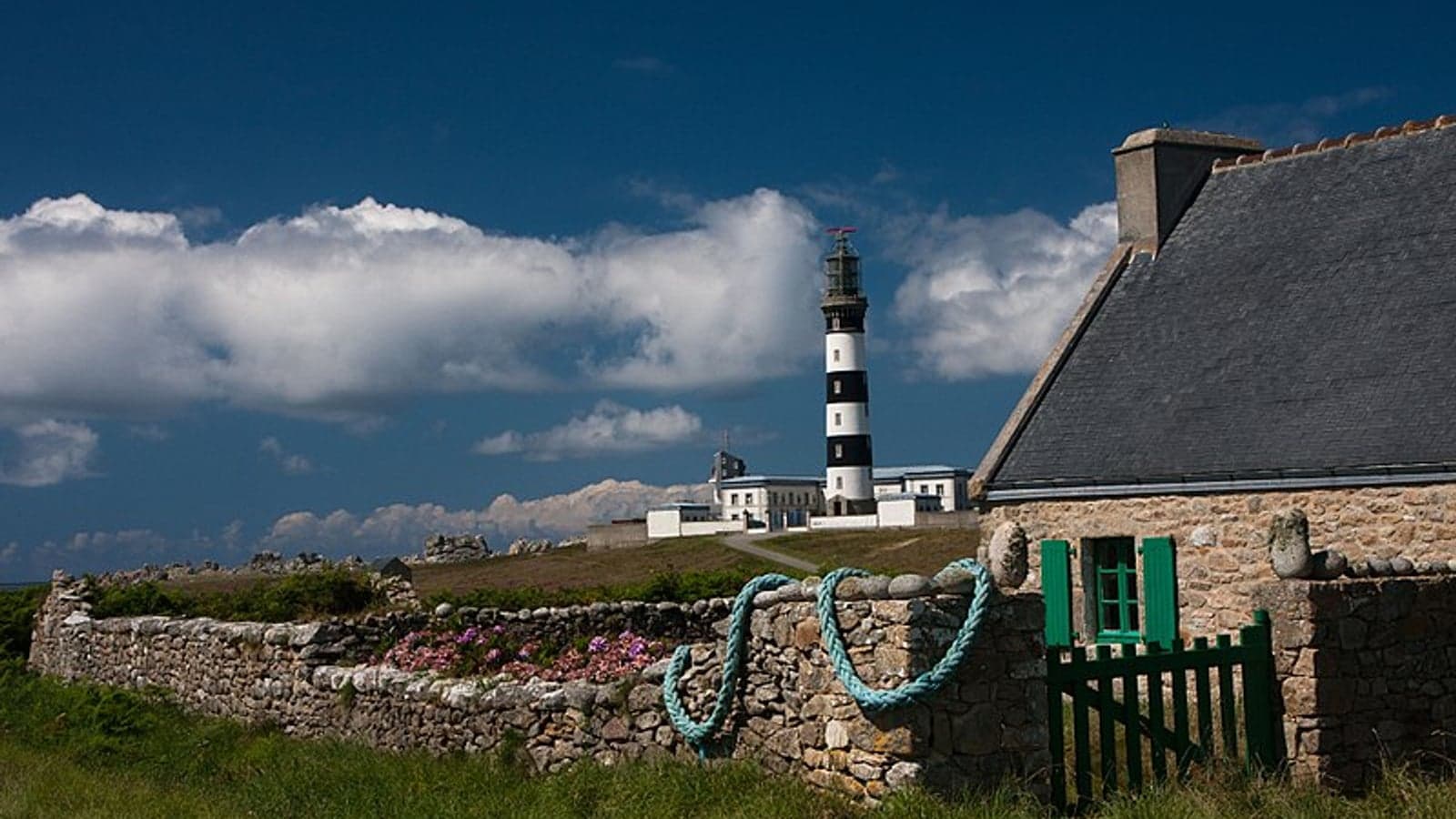 New partnership to trial tide, hybrid renewables