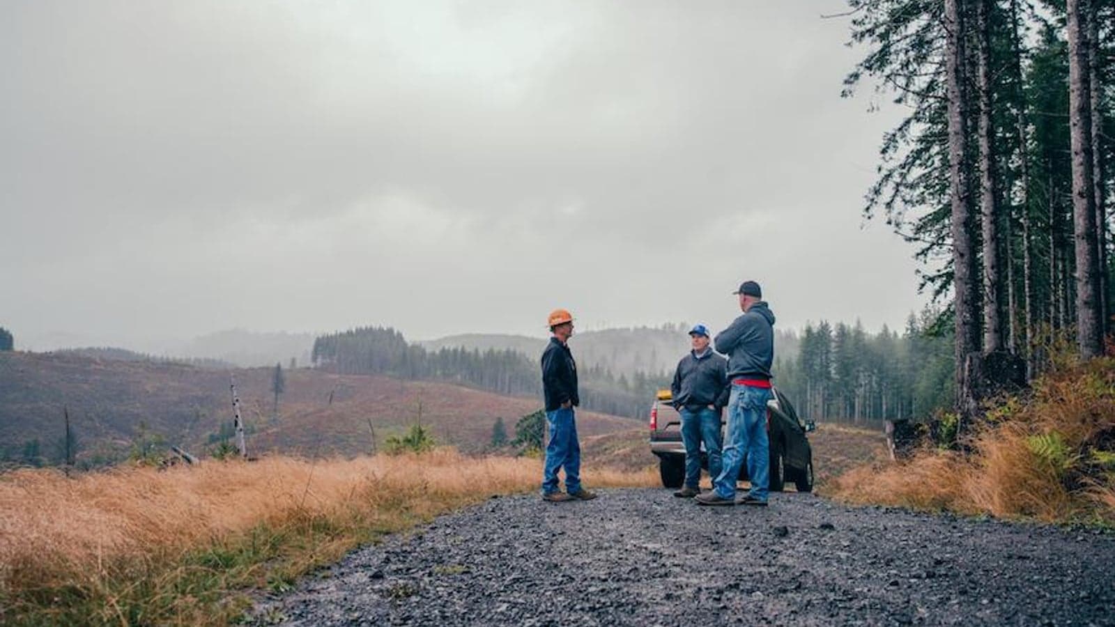 The utility’s role in wildfire mitigation