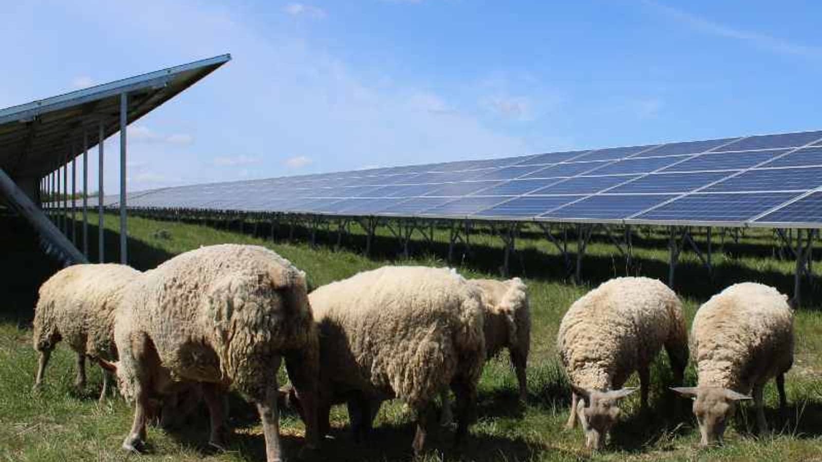 Solar clusters completed at former French military bases
