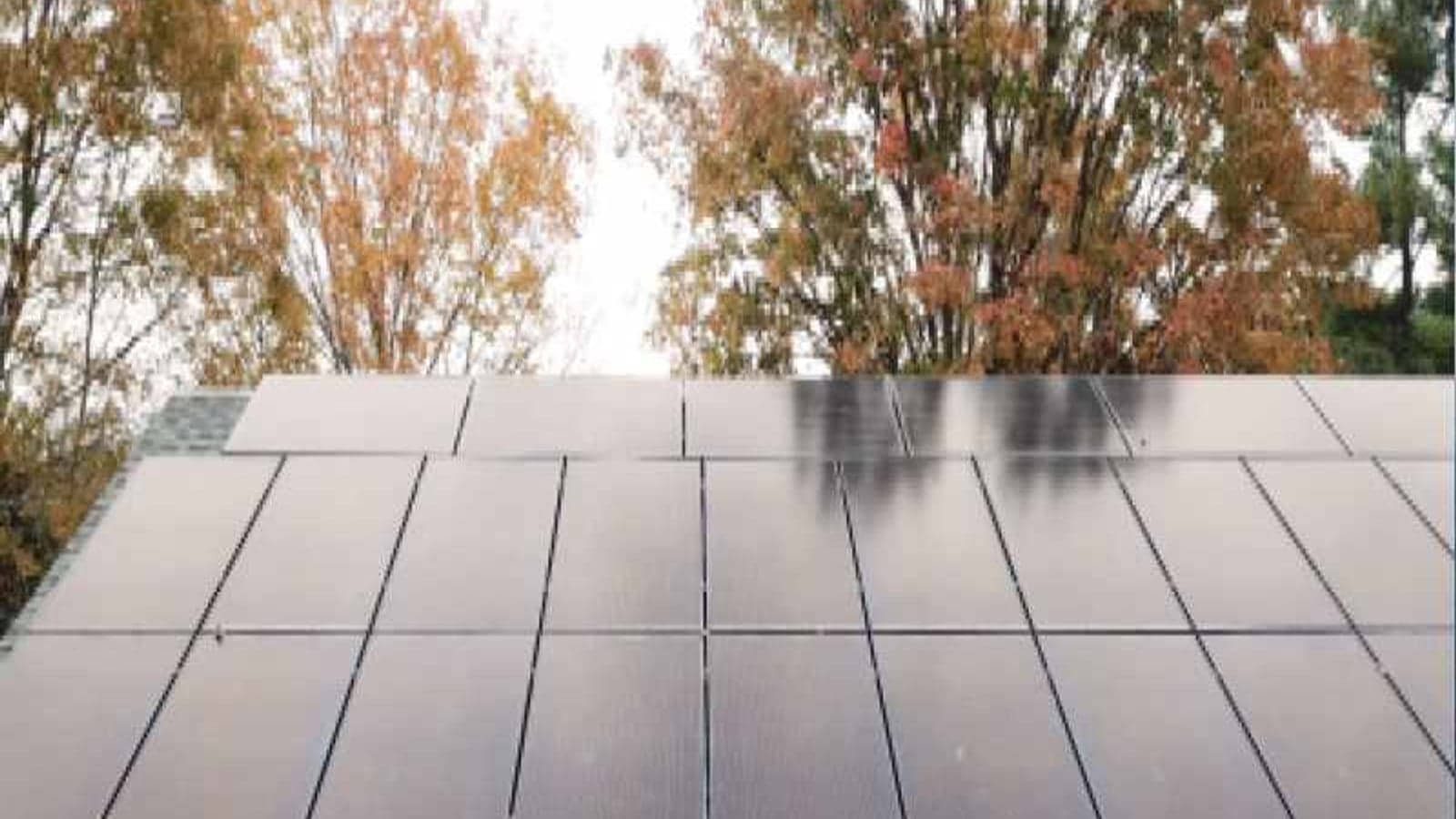 Europe’s energy market reform backed by parliamentarians