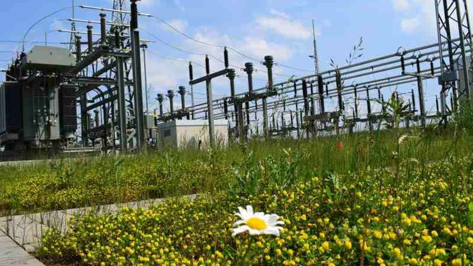 EIB finances grid upgrades across Germany
