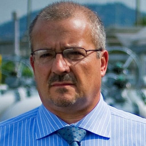 Tiziano Domenico Zocchi