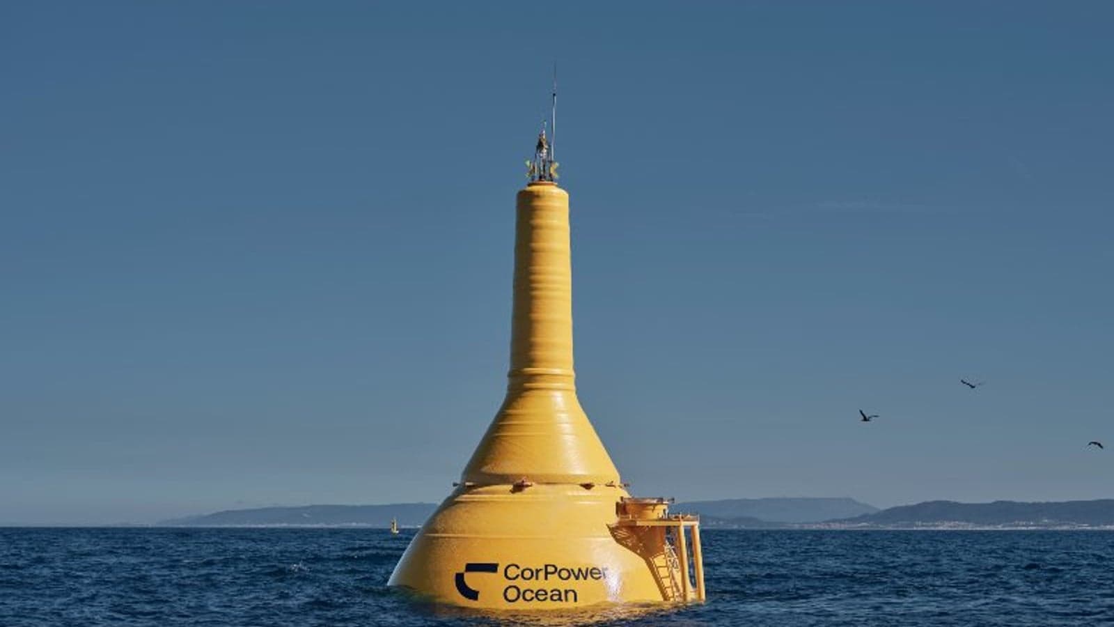 CorPower Ocean secures €40m grant for 10MW wave energy farm
