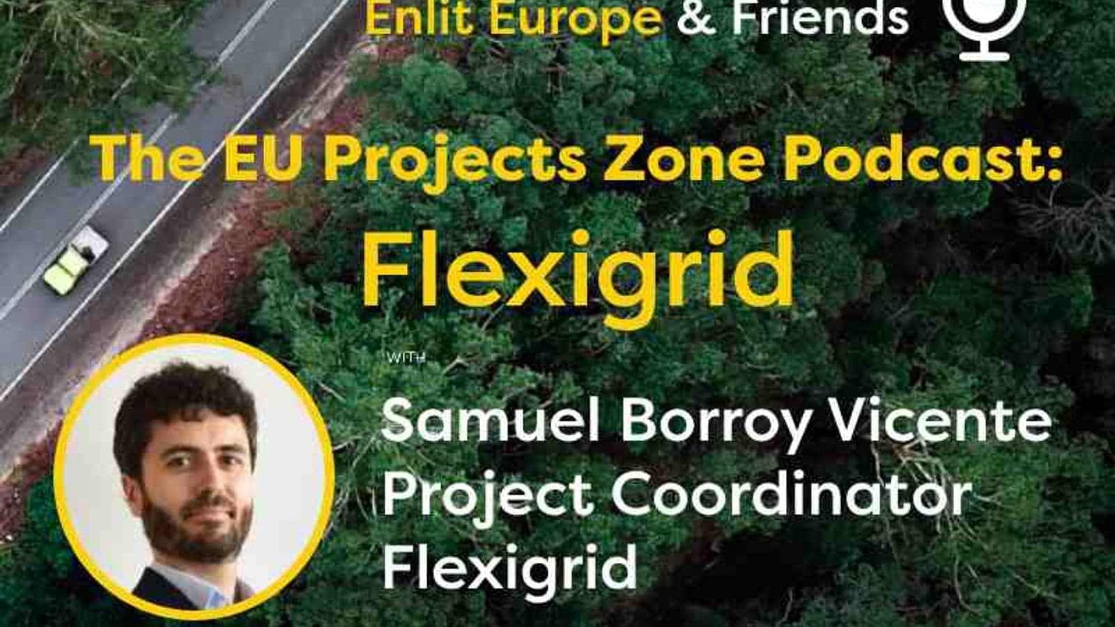 The EU Projects Zone Podcast: FLEXIGRID with Samuel Borroy Vicente
