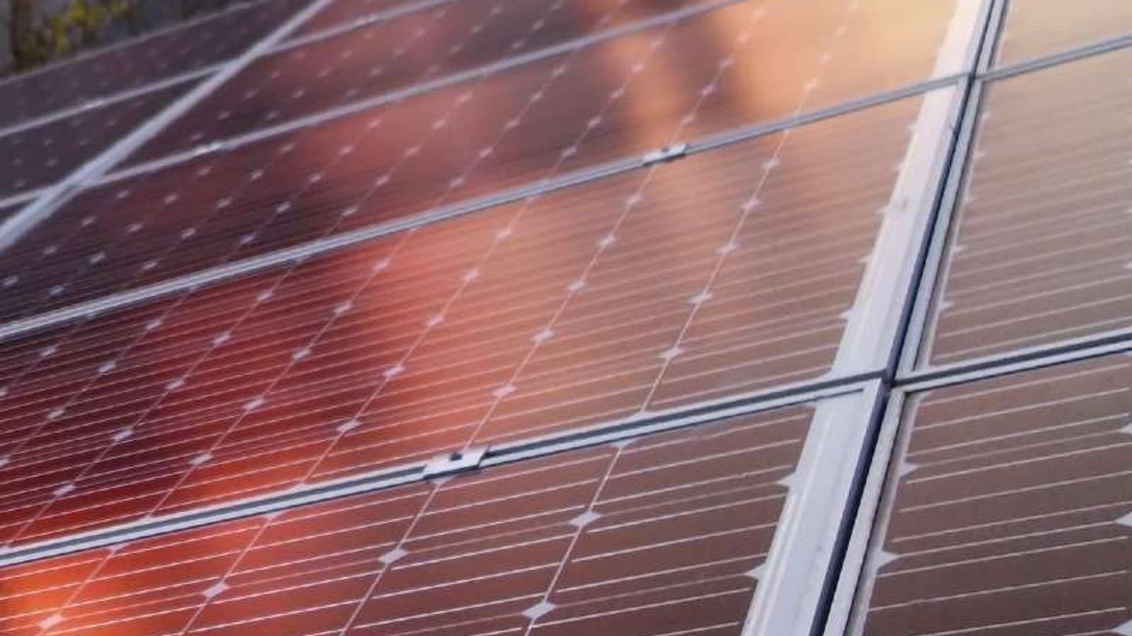 Sweden's Alight expands into Finnish market with 100MW solar park