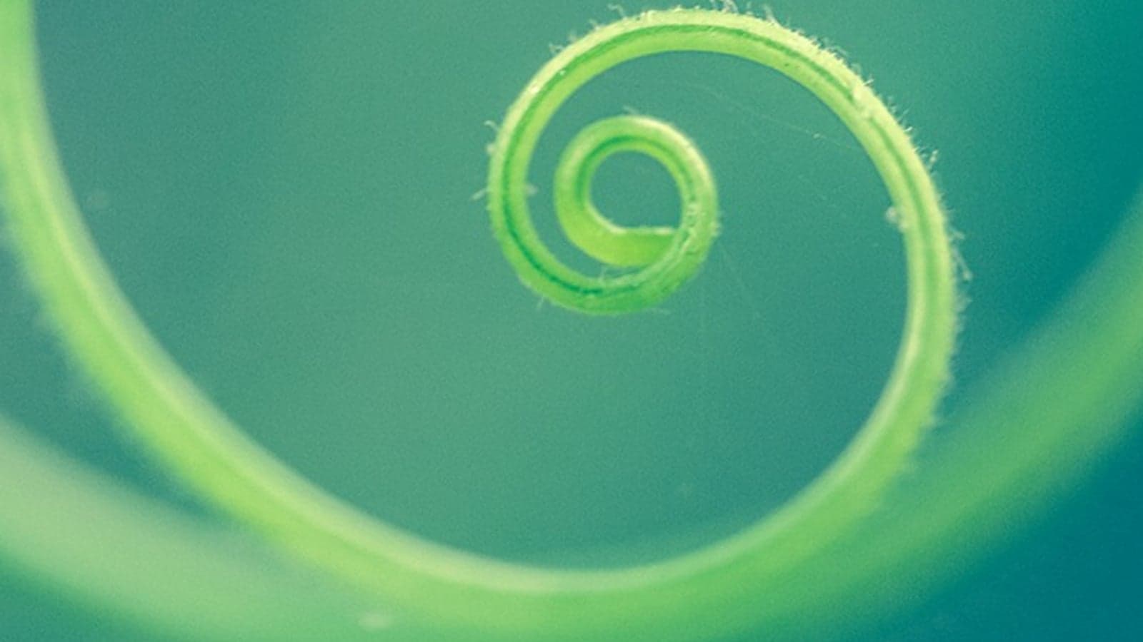 Enel launches ‘circularity index’ in sustainability push