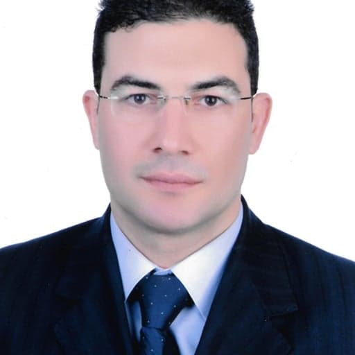 Hany Karawia