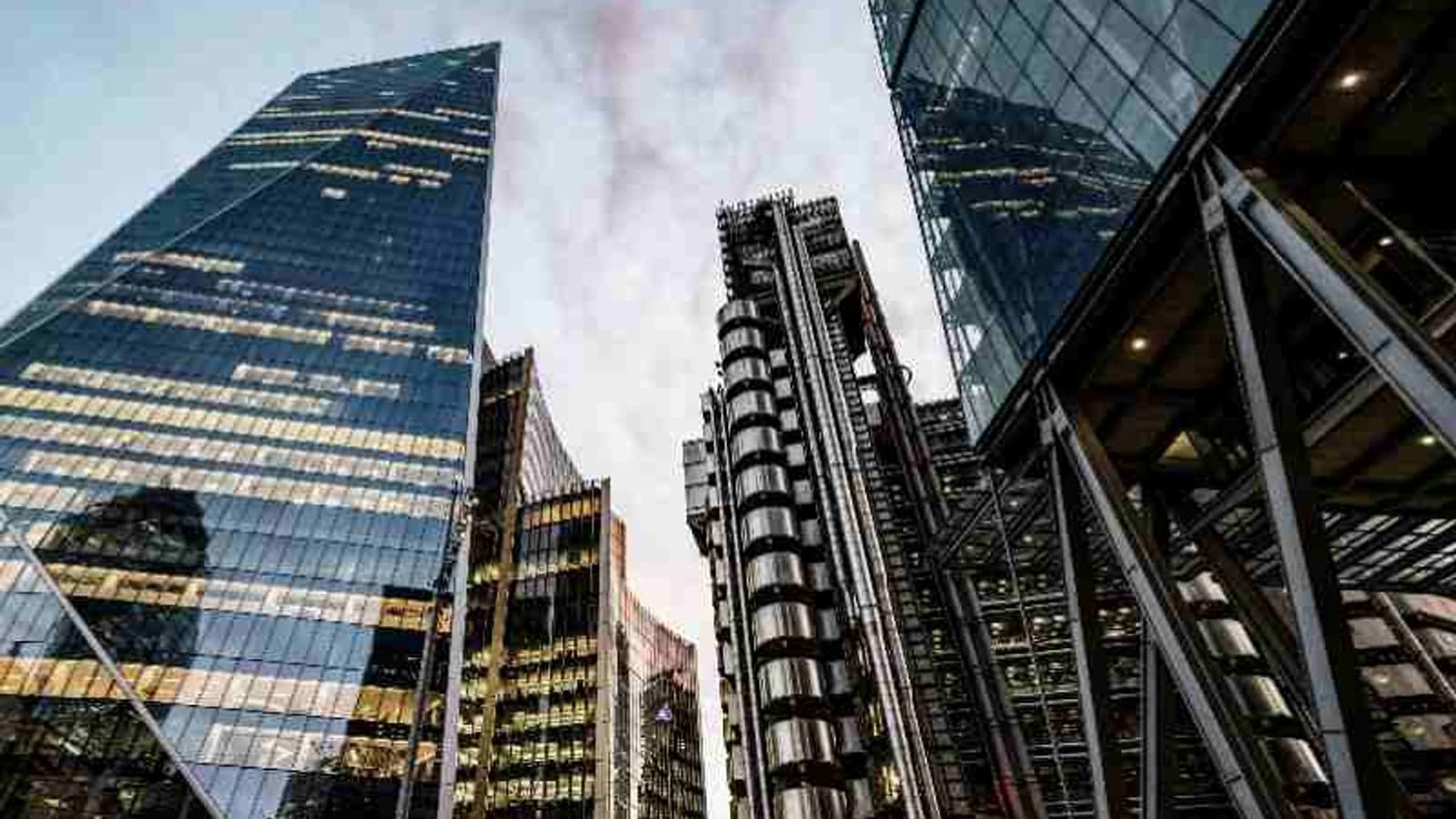 Organisations divided on how best to achieve net zero states survey