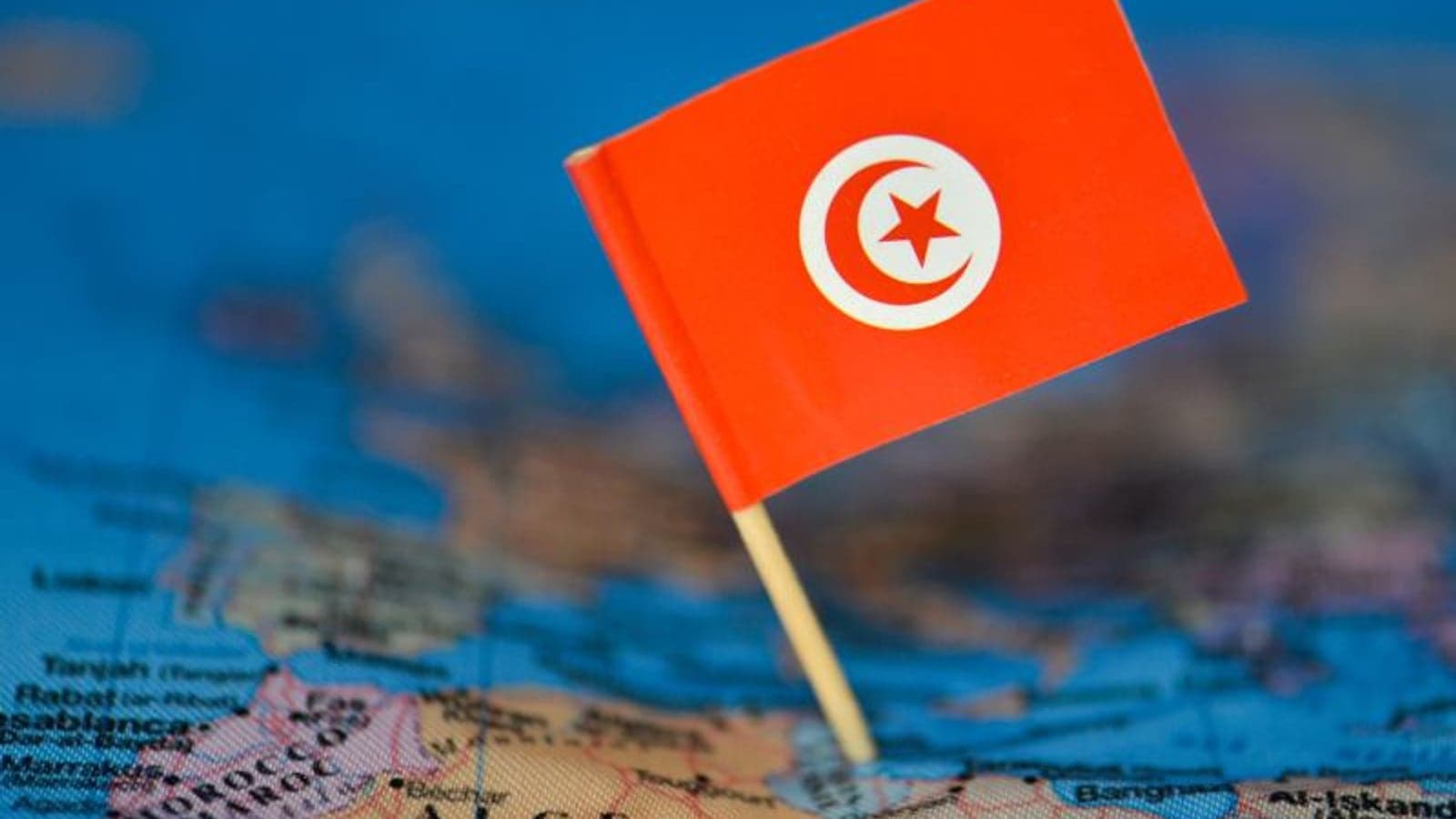 TE H2 and Verbund partner on green hydrogen project in Tunisia