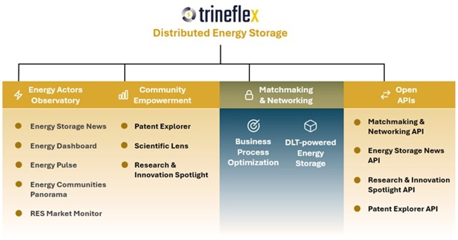Figure 1 - Key components of TRINEFLEX DES.