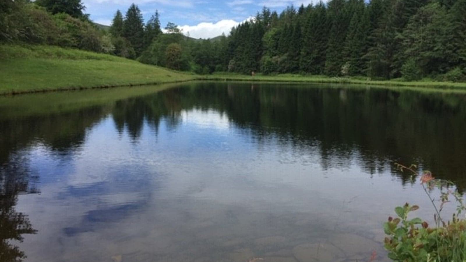 Welsh Water and Open Data Institute collaborate on open data