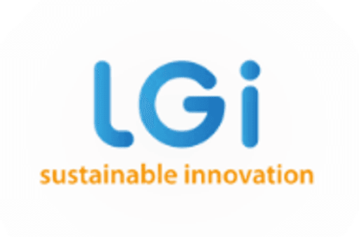 LGI Consulting