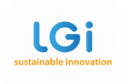LGI Consulting
