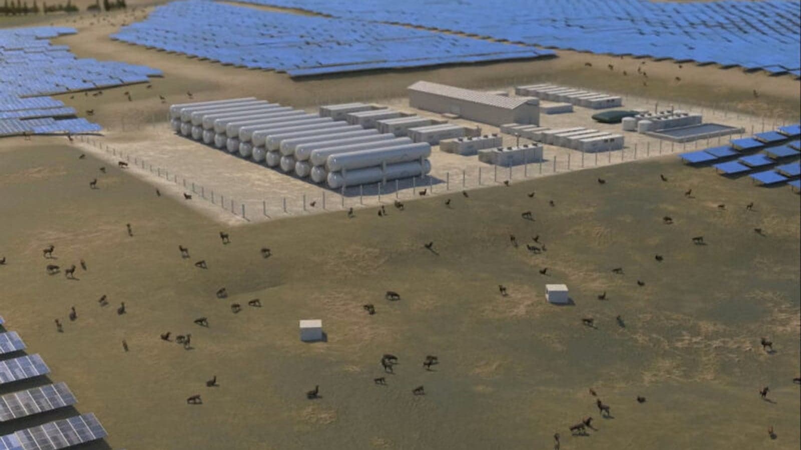 Renewstable Barbados green hydrogen storage project launches