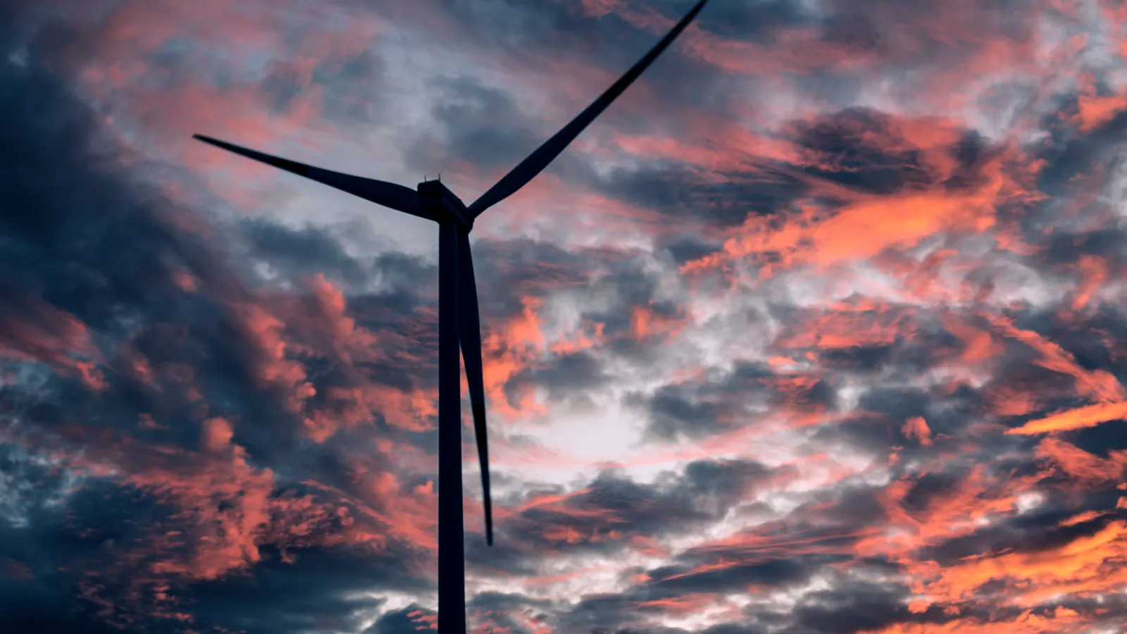 Germany awards 3.5GW wind tenders as renewable capacity rises
