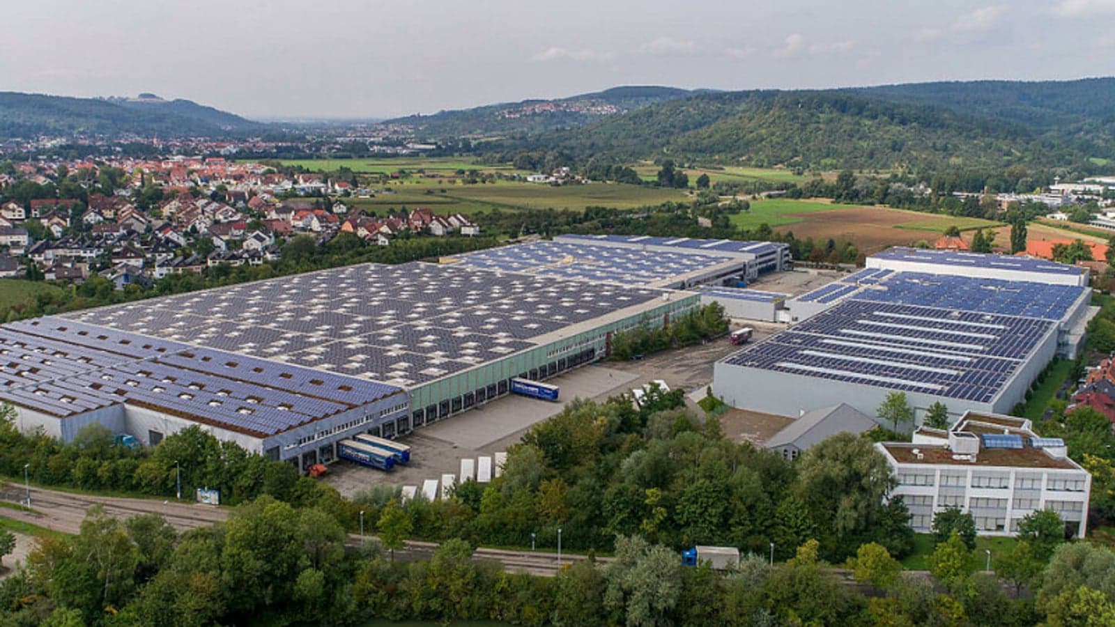 Renewable availability and bureaucracy slowing business decarbonisation – survey