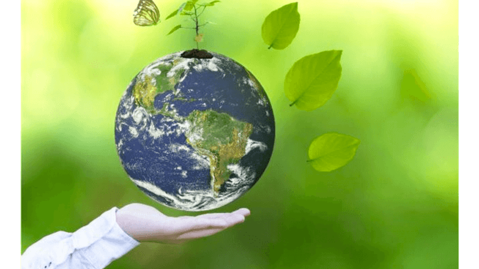 Bringing the brightest minds to resolve the challenge of climate change