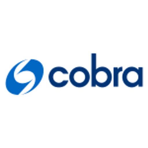 Cobra Instalaciones y servicios S.A.
