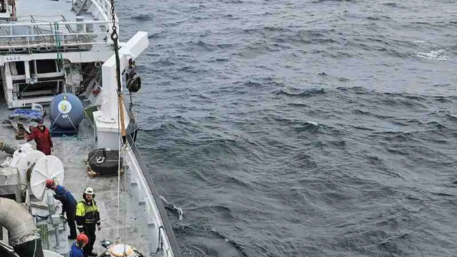 Salamander offshore wind farm deploys sensors to monitor marine life