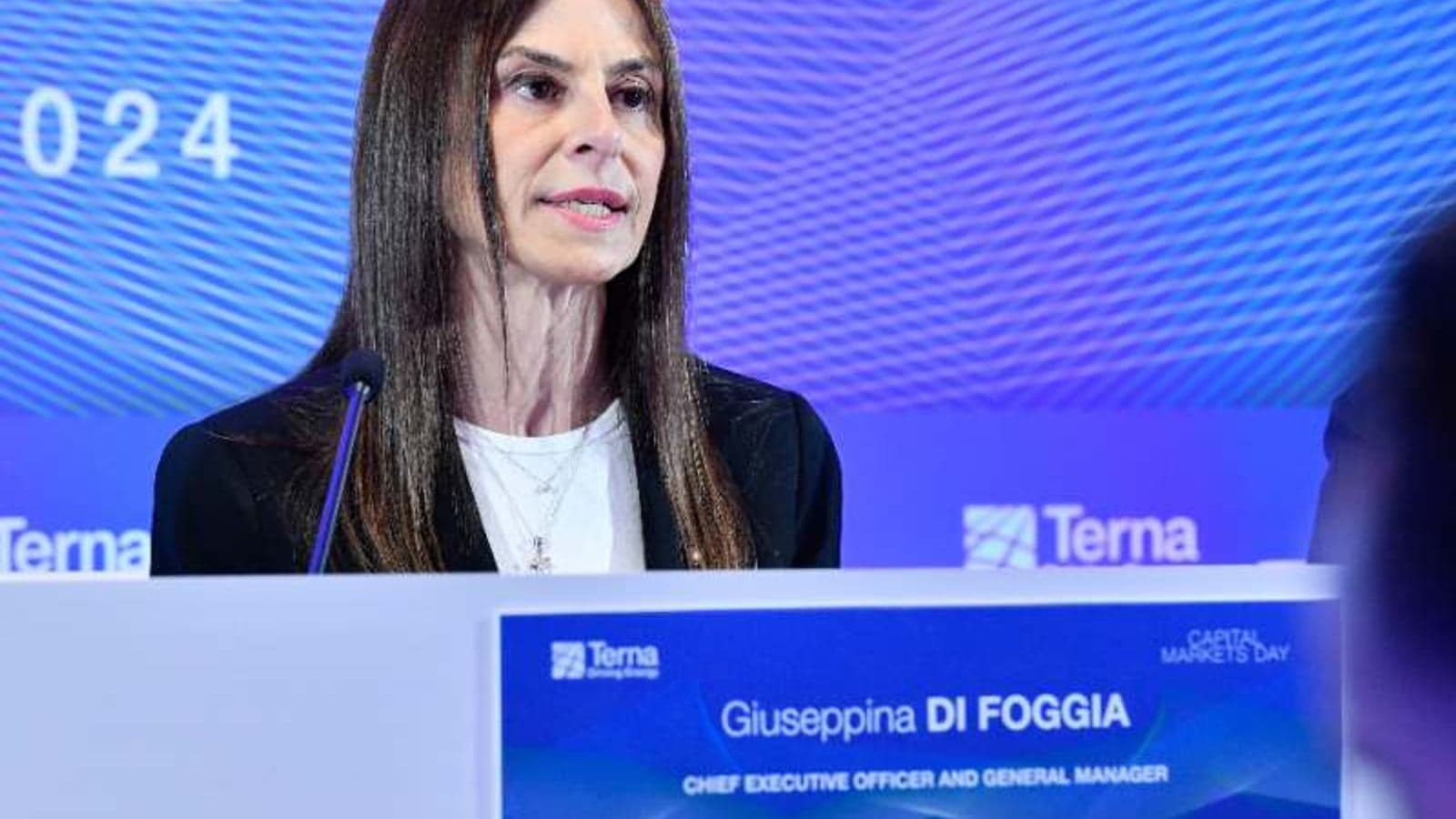 Italy’s Terna announces €16.5bn investment plan guided by twin transition